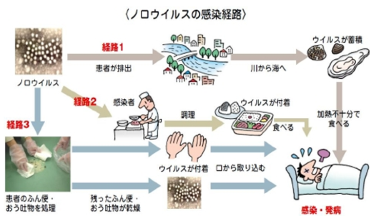 ノロウイルスの感染経路